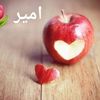 user5117006554388