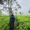 bunbunmega_