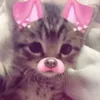 tapiokapuding2
