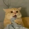 doananhviet123