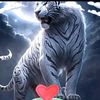 aimad489