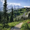 isabel.krause8