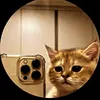 diego2.2.4