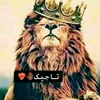 tajik_tajdar94