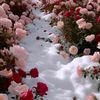 abrar5927