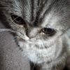user_844844