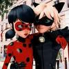 ladybug_big.fan