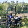 faae_78