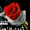 nawal.nawal495