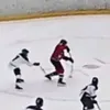 alanhockey12