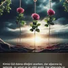 www.tiktok.comwww.zilan