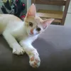 rafa_43267