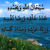 user479957286755