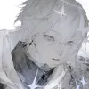 sow.vlr