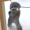 knjksjmygjhspjmkthjjksuy