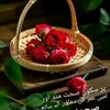 pagaldil8113
