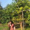 angl_syaa