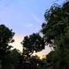 ririnanakbaik4