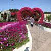 salikat.albi