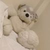 user87050152361155