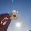 cocodaisy444