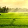 thinh.quoc.1234