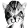 ximx_xg