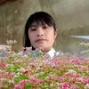 kieu.anh87