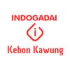 INDOGADAI KEBON KAWUNG