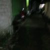 alibosenmvp1
