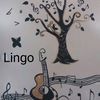 lingolin0