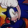 trainer.sonic