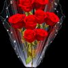 umar.123843