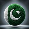 muhammadsarfraz4119
