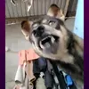 ko_ngai_va_cham_ok