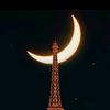shaeil_rajput