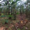 kasibante.muggaga