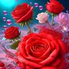 anaswarraich786