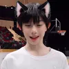 qyh_2810