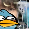 momo1039xpq