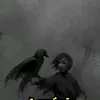 3dnetto