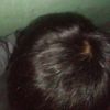 fans_tyrone_delpino1