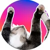 martinew_oo