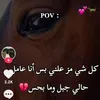 aboameenshabash