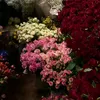 lxrll5
