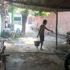rustam.ronji