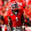dawgs_city