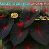 masan3090