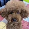 nguyen.luan2992