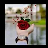 nbgf.tris